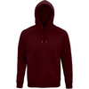 %SALE% SKIFAHRER AUF PISTE - Unisex Bio-Baumwolle Hoodie
